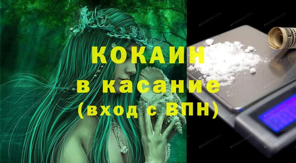 бошки Горняк