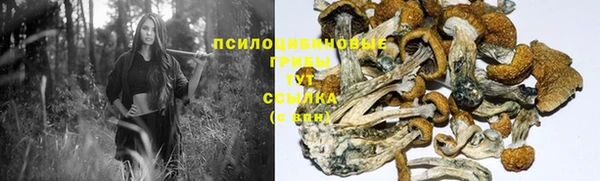 спайс Горно-Алтайск