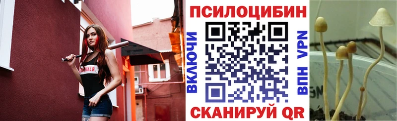 площадка телеграм Ахтырский Псилоцибиновые грибы мицелий