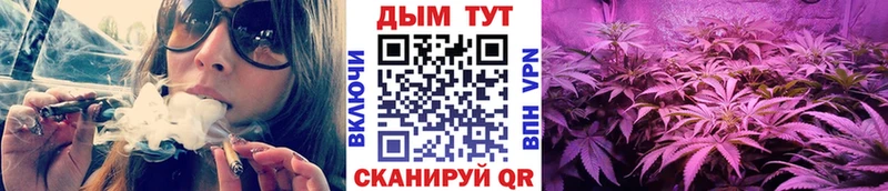 Шишки марихуана сатива  наркошоп  Ахтырский 